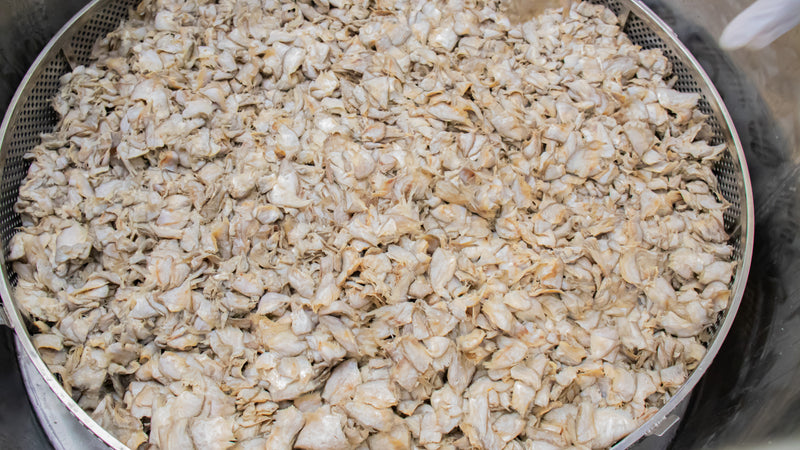 Salted fish drying in a sieve during prahok preparation