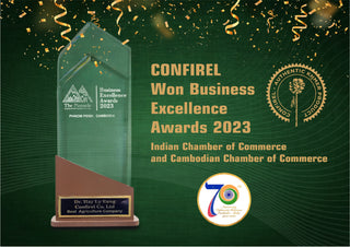Indian Chamber of Commerce — Business Excellence (2023)