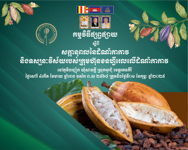 Ratanakiri 카카오