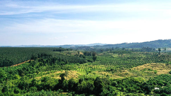 Ratanakiri
