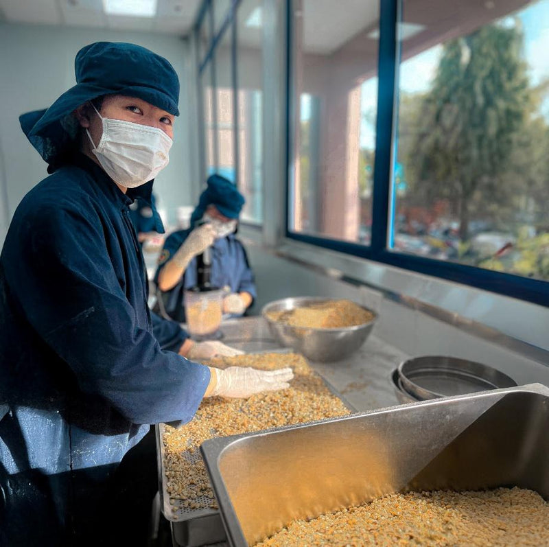 Post-harvest sorting of cacao beans at a Confirel facility