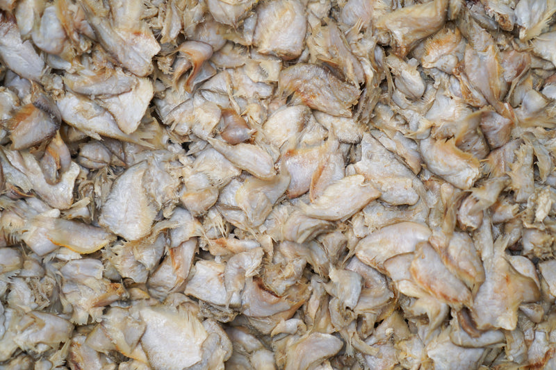 Close-up of salted fish prepared for prahok fermentation